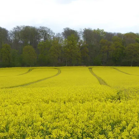 Orfea S - Maison De Charme, Cheminee Et Spa, Lyons-la-foret 度假居