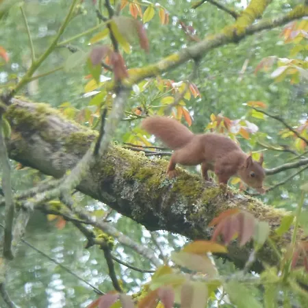 בית נופש Orfea S - Maison De Charme, Cheminee Et Spa, Lyons-la-foret *