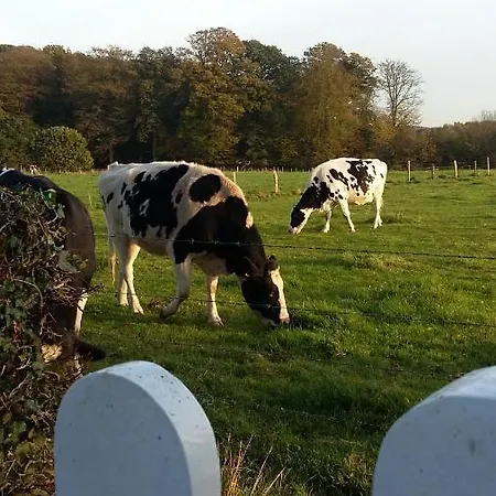 Orfea S - Maison De Charme, Cheminee Et Spa, Lyons-la-foret *